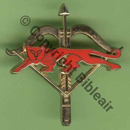 NH EH.1.67 Homolog non aboutie ESCADRILLE SPECIALE HELICO COS de EH.1.67 preserie 200ex AB 2Att US Dos scintillant Src.Y.GENTY 30Eur(x3) 